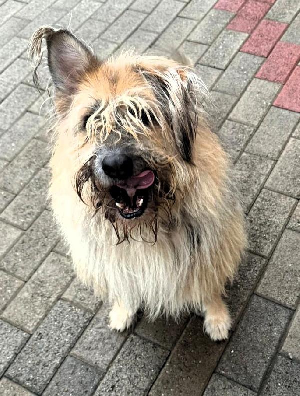 SPANK PASTORE BRIE Foto 6